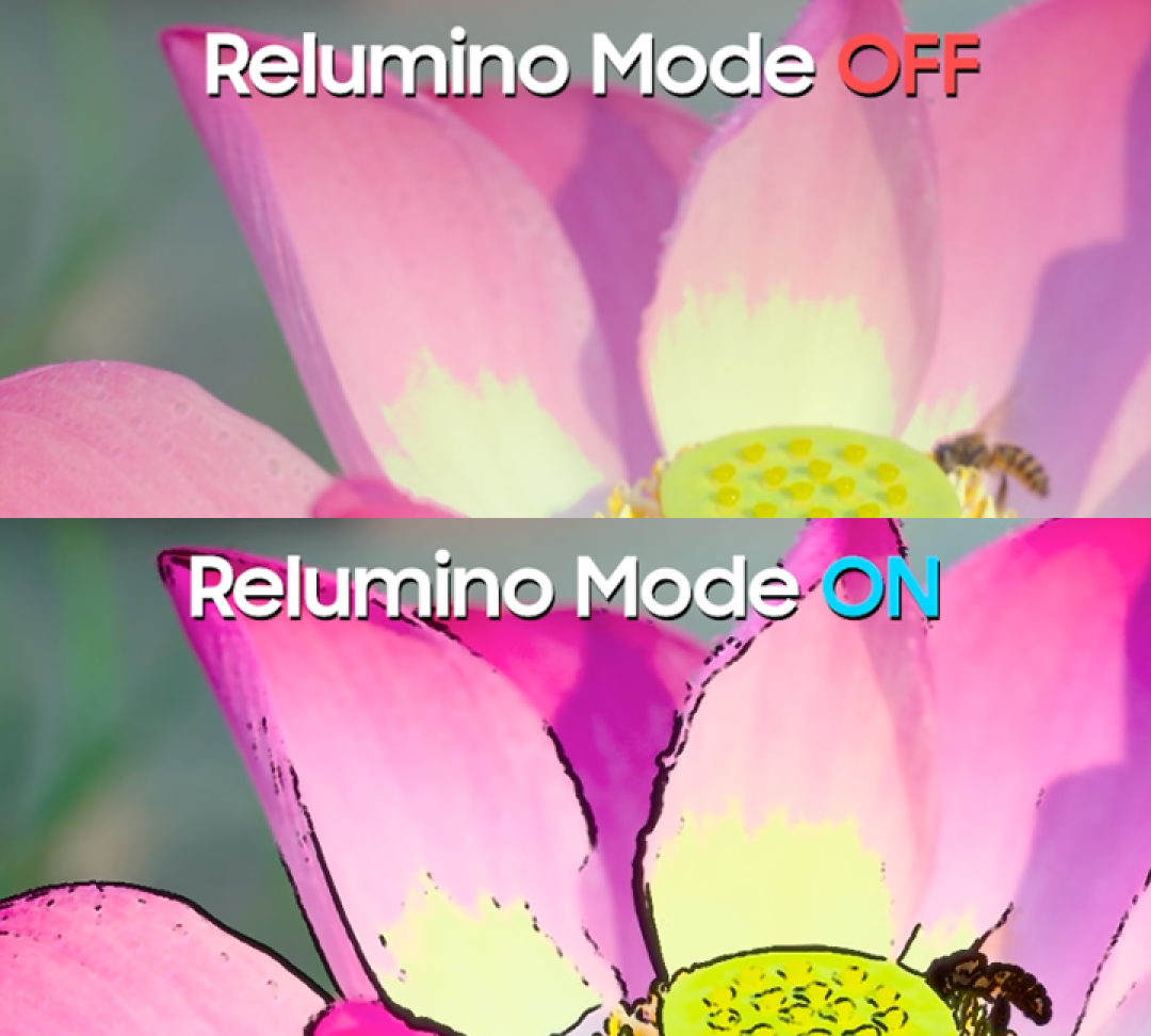 Relumino Mode Off, Relumino Mode On. Two split screens showing a contrasting image of a flower without relumino mode applied and a flower image with relumino mode applied.